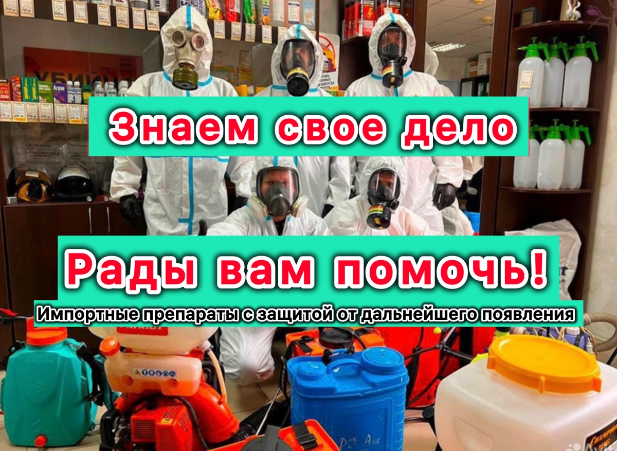 Галерея